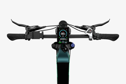 X3 Fat Tire à cadre bas