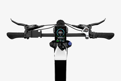 X3 Fat Tire à cadre bas